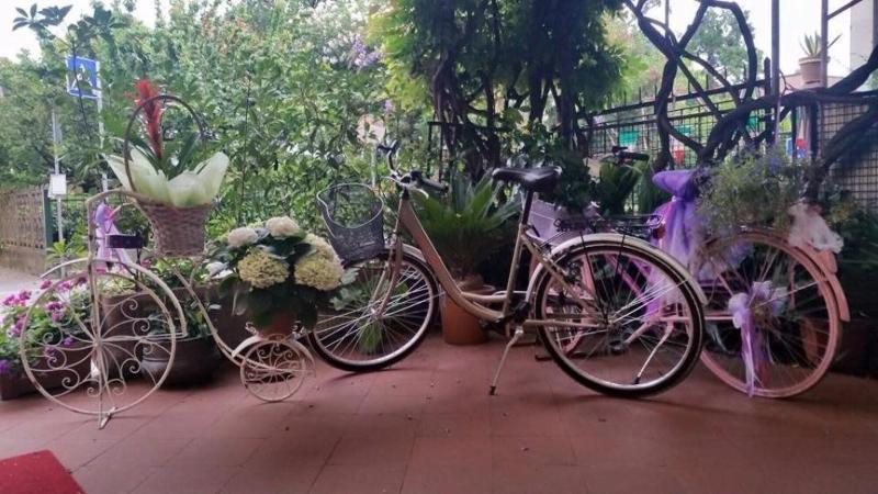 Hotel Stipino Lucca Luaran gambar