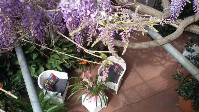 Hotel Stipino Lucca Luaran gambar