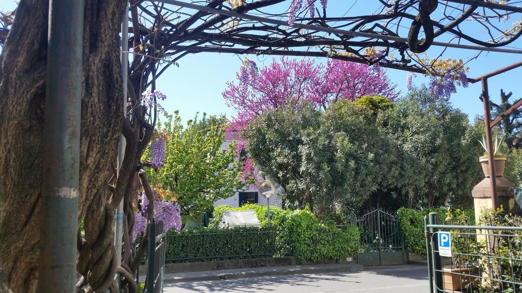 Hotel Stipino Lucca Luaran gambar