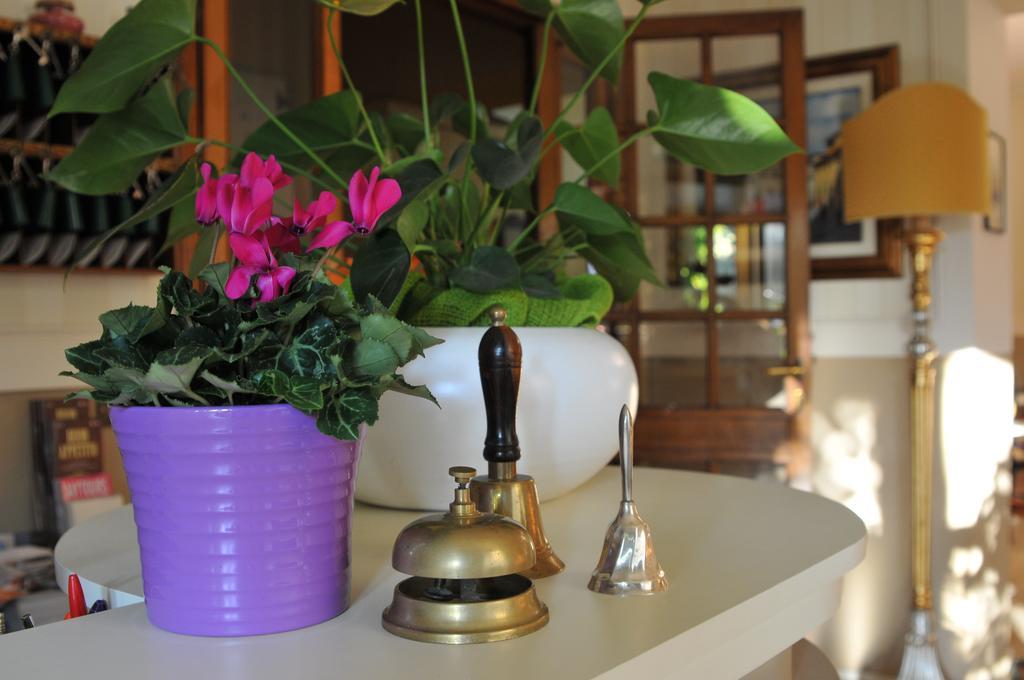 Hotel Stipino Lucca Luaran gambar