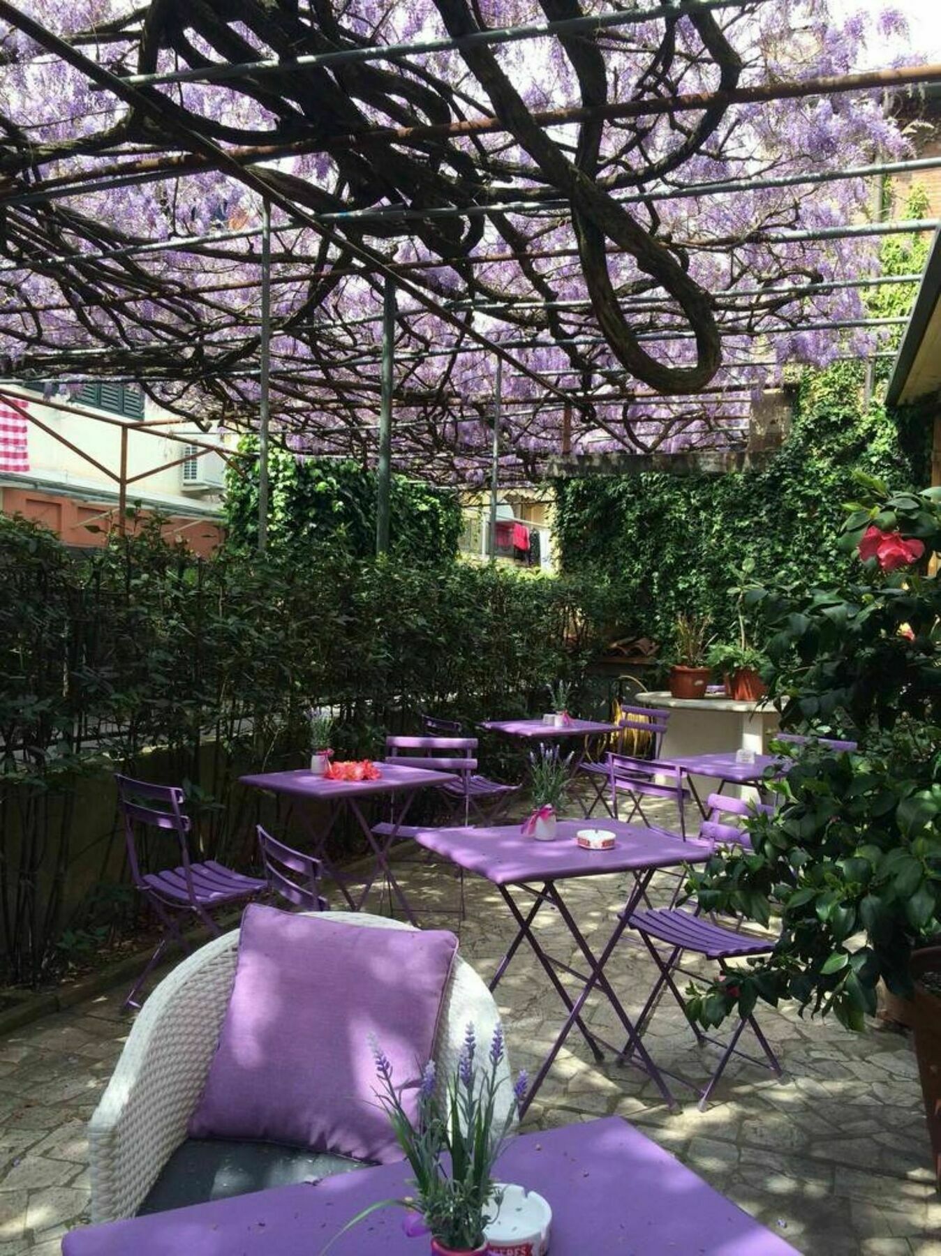 Hotel Stipino Lucca Luaran gambar